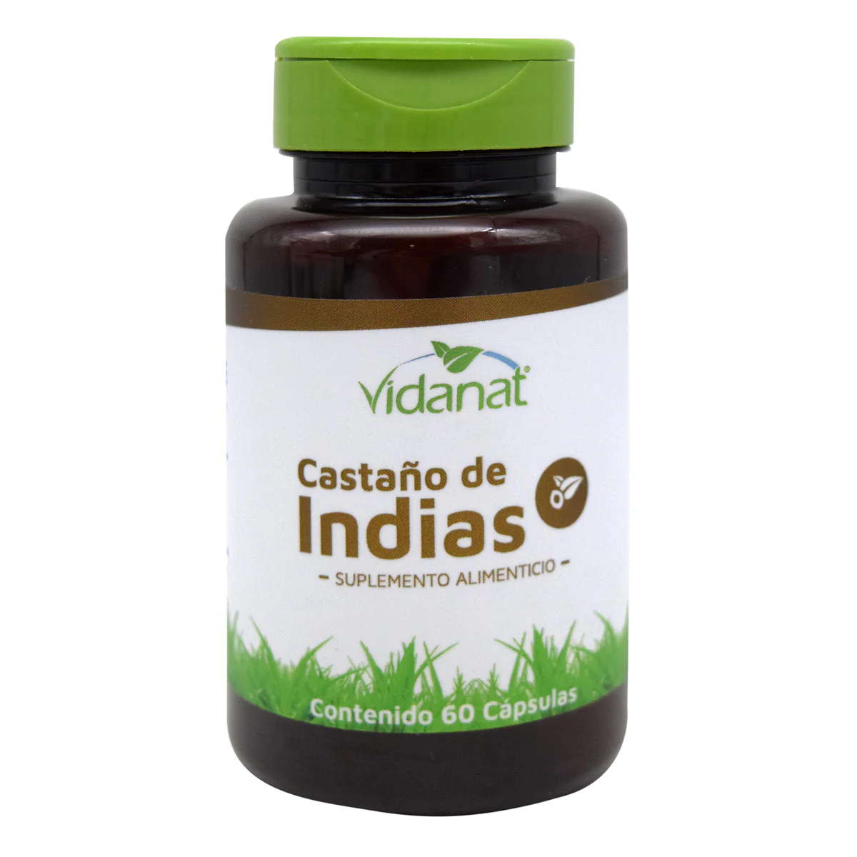 Castaño de Indias