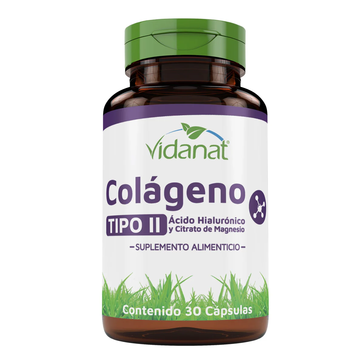 Colageno Tipo II (Acido hialuronico y Citrato de magnesio)